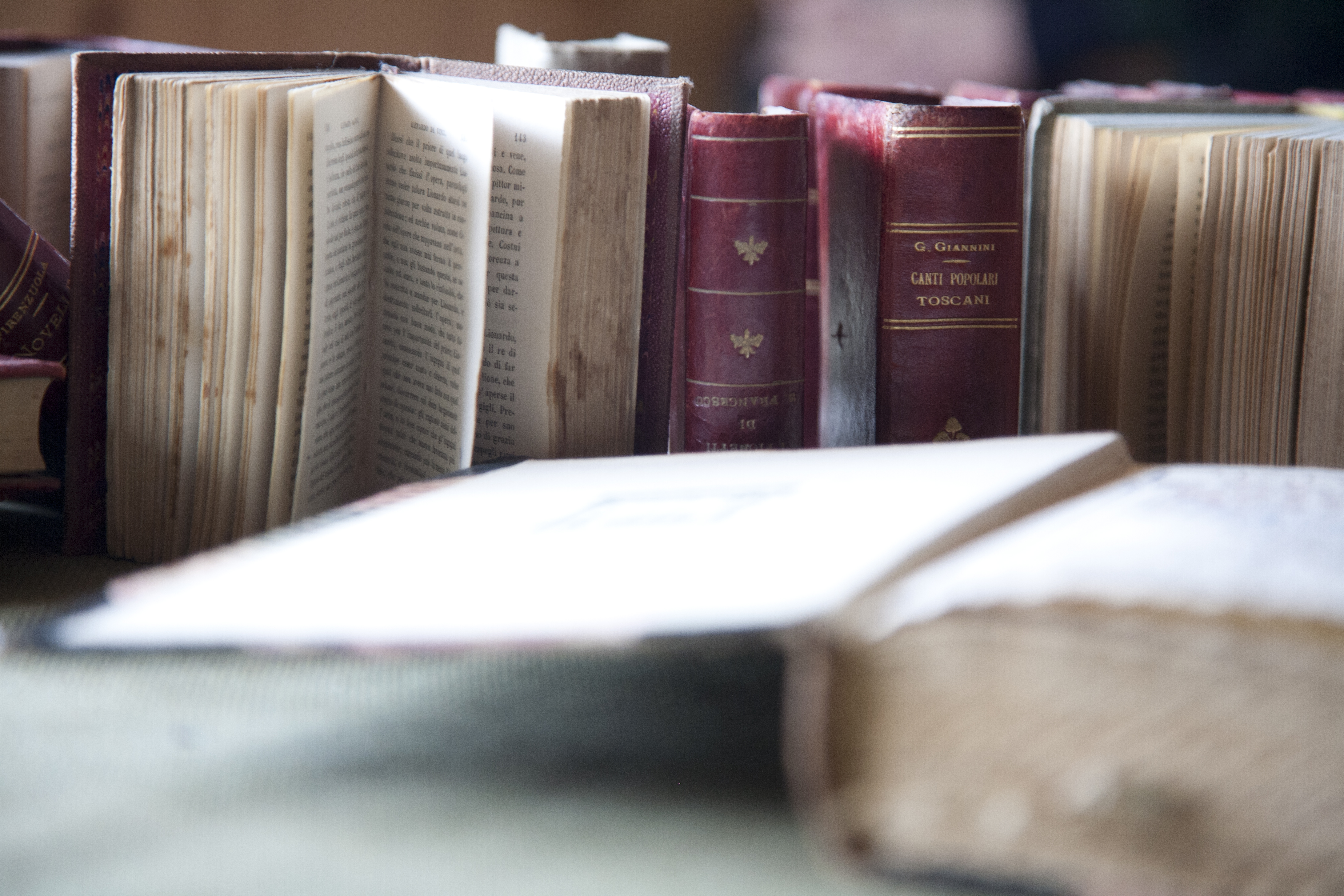 libri perduti